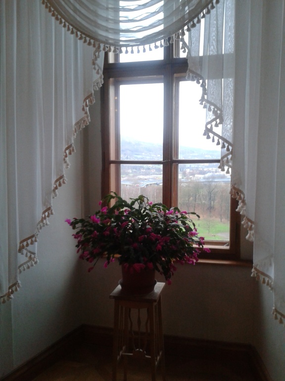 20141204_093146